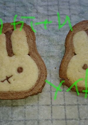 かわいい うさこちゃんクッキー-レシピのメイン写真