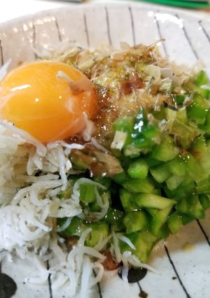 ネバネバで快腸❗サボテンたまごかけご飯-レシピのメイン写真