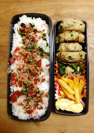 餃子のタネで‼︎ ハンバーグ-レシピのメイン写真