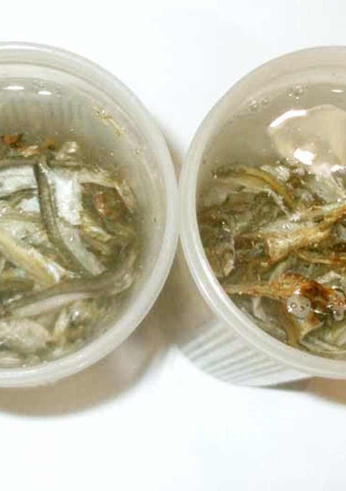 煮干しだし♪簡単水だし-レシピのメイン写真