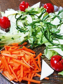 野菜たっぷりチーズサラダ-レシピのメイン写真