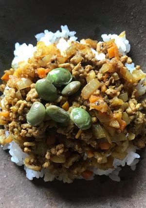 りんごのドライカレー-レシピのメイン写真