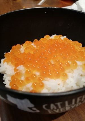 おいしい時期に出会えたら!いくら醤油漬け-レシピのメイン写真
