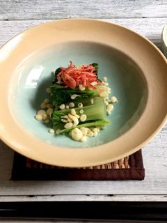 簡単!しろ菜のおひたし-レシピのメイン写真