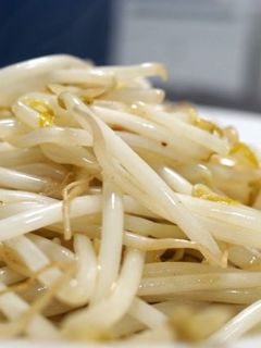 ステーキ屋さんのもやし炒め-レシピのメイン写真
