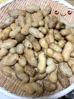 生落花生を茹でる-レシピのメイン写真
