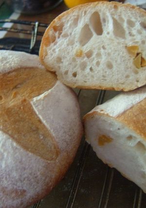 ダイダイ酵母で作ったパン-レシピのメイン写真