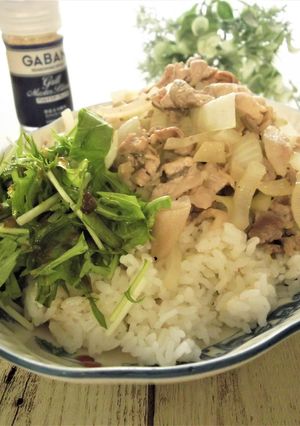 味付けこれ一本！旨塩　豚こま丼-レシピのメイン写真