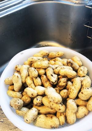 千葉産オオマサリの出汁入り落花生-レシピのメイン写真