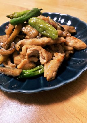 豚肉と茄子の甜麺醤炒め-レシピのメイン写真