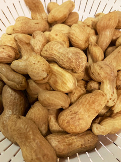 今が旬♡大まさりの塩茹で-レシピのメイン写真