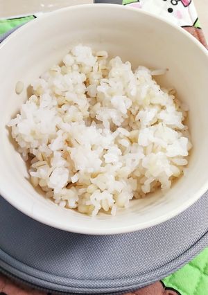 IHで土鍋ご飯(もち麦入り)-レシピのメイン写真