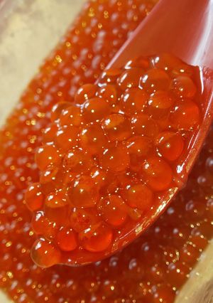 いくらの醤油漬け-レシピのメイン写真