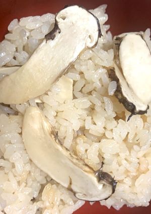 マツタケご飯-レシピのメイン写真