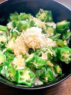 オクラとしらす丼-レシピのメイン写真