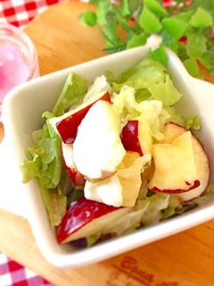 カフェ風☆りんごとキャベツのサラダ-レシピのメイン写真