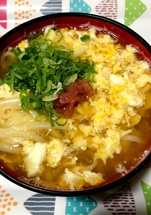 南高梅と卵のほっこりうどん-レシピのメイン写真