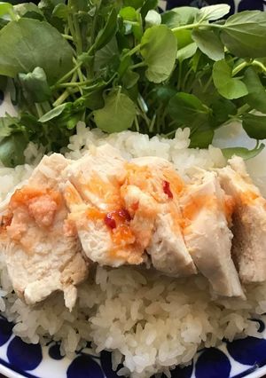 海南鶏飯（シンガポールチキンライス）-レシピのメイン写真