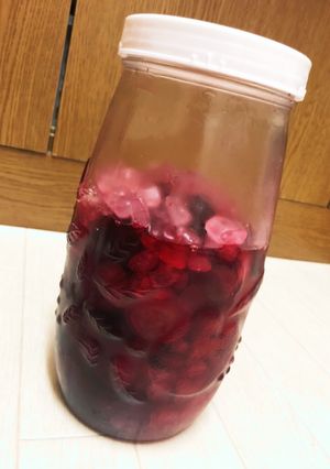 プラムシロップ-レシピのメイン写真