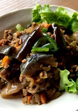 野菜たっぷりナスとミンチのスパイシー炒め-レシピのメイン写真