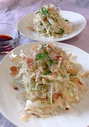 キャベツのおかか胡麻サラダ-レシピのメイン写真