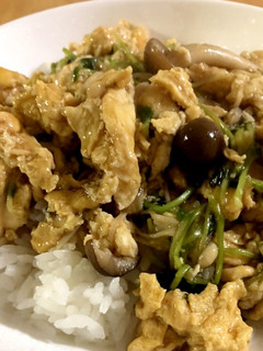 豆苗とキノコの玉子丼-レシピのメイン写真