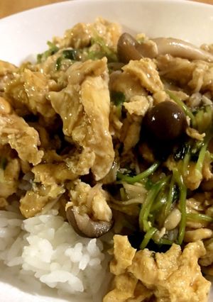 豆苗とキノコの玉子丼-レシピのメイン写真