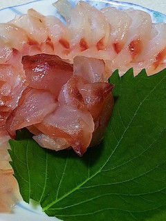 胡椒鯛の昆布締め-レシピのメイン写真