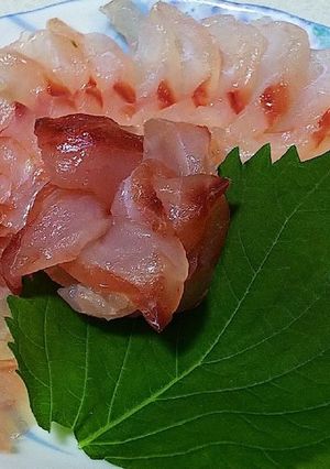 胡椒鯛の昆布締め-レシピのメイン写真