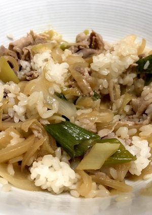 ネギネギの豚丼-レシピのメイン写真
