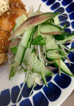 薬味サラダ-レシピのメイン写真