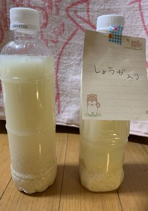 【簡単】手作り甘酒で健康に(^ ^)-レシピのメイン写真