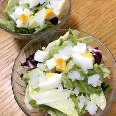 รูปของ カルピス爽やかサラダ