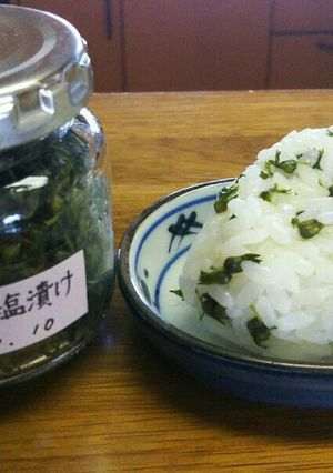 しその実の塩漬け!-レシピのメイン写真