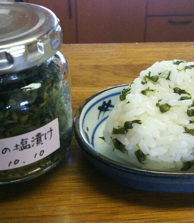 しその実の塩漬け！-レシピのメイン写真