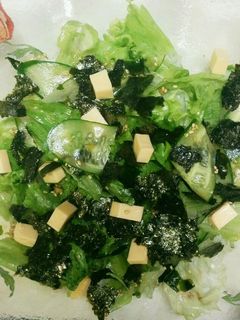 レタスとキュウリの海苔チーズ乗せサラダ☆-レシピのメイン写真