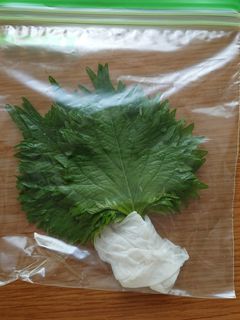 大葉を長持ちさせる方法-レシピのメイン写真