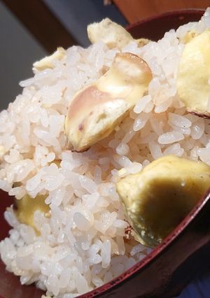 旬の栗ご飯(その２)-レシピのメイン写真