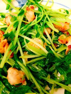 鶏皮と豆苗塩炒め-レシピのメイン写真