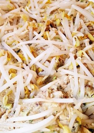 大葉入りでっかいもやしシュウマイ-レシピのメイン写真