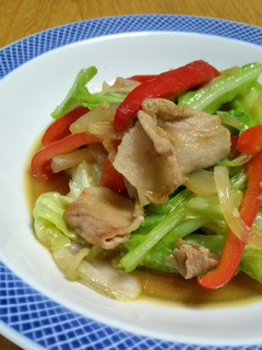 カルピスdeほんのり甘い肉野菜炒め★-レシピのメイン写真