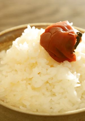 電気不要！ガス不要！ほかほかご飯-レシピのメイン写真