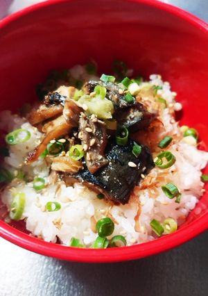 鯖の水煮丼-レシピのメイン写真