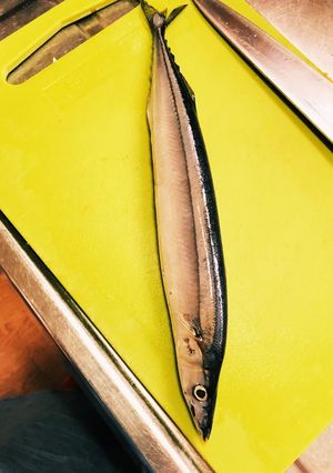 秋刀魚の内臓の取り方-レシピのメイン写真