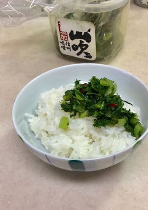 ピリッと辛い大根菜(小松菜)の浅漬け-レシピのメイン写真
