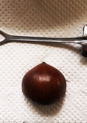 包丁はこわい！栗の簡単なむきかた-レシピのメイン写真