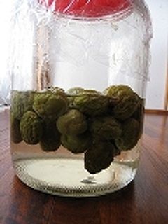 失敗なしの梅ジュース-レシピのメイン写真