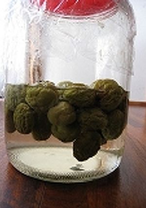 失敗なしの梅ジュース-レシピのメイン写真
