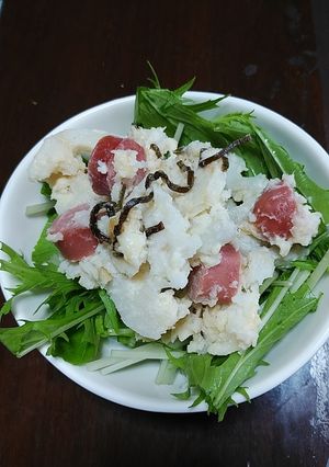 長芋レンコンサラダ-レシピのメイン写真