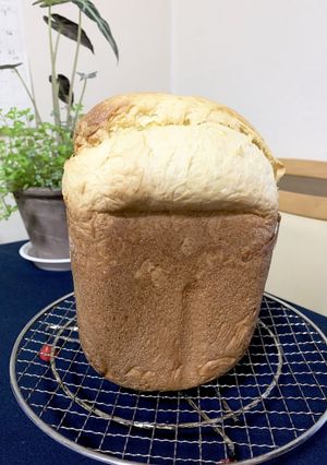 HB ホシノ天然酵母生種 ブリオッシュ-レシピのメイン写真